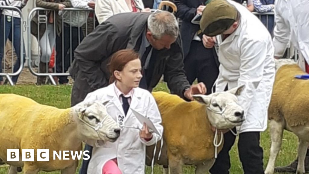 Hutton Buscel family left devastated as pet sheep are stolen from farm 