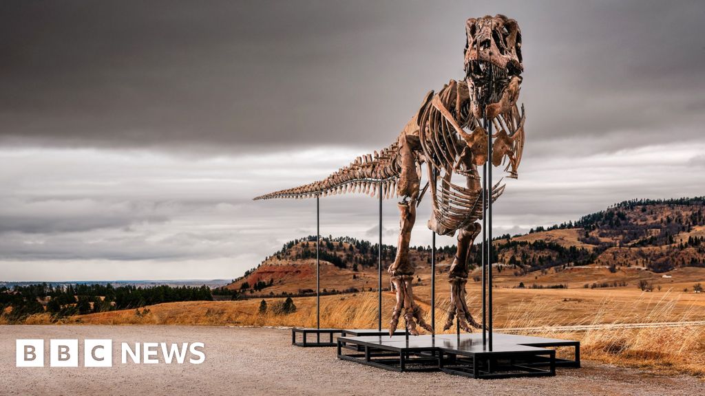 bbc.co.uk - Esme Stallard - T. rex fossil could become most expensive dinosaur ever sold