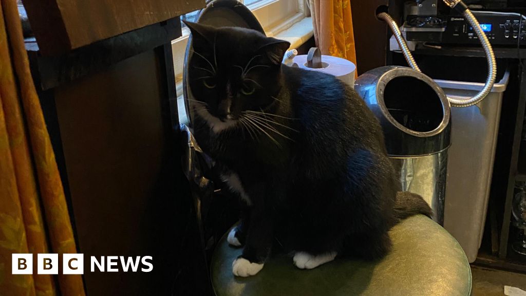 Anger over plans to remove  cats from Birmingham pub