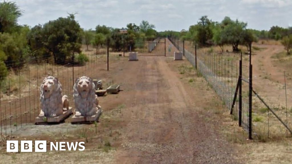 Briton injured in South Africa park lion attack BBC News