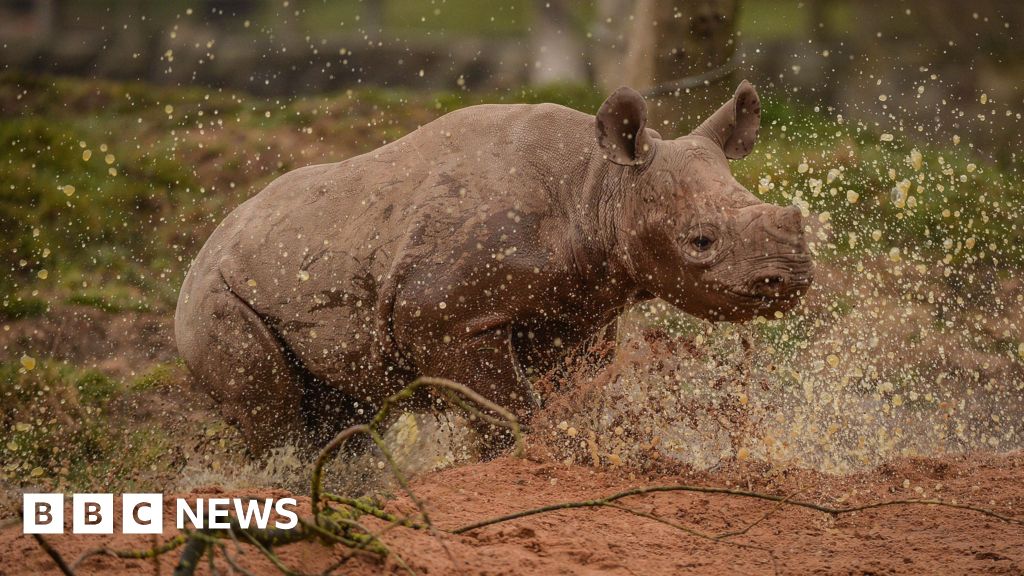Chester Zoo summit aims to tackle 'misleading' weather apps