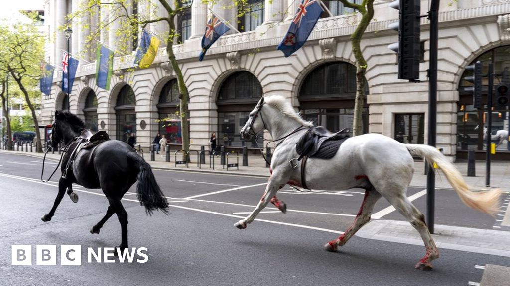 Militaire paarden van de London Cavalry keren 'te zijner tijd' terug in dienst