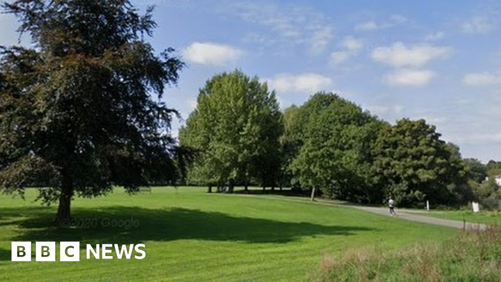 Southampton Rape: Man Arrested After Woman Attacked In Park - BBC News