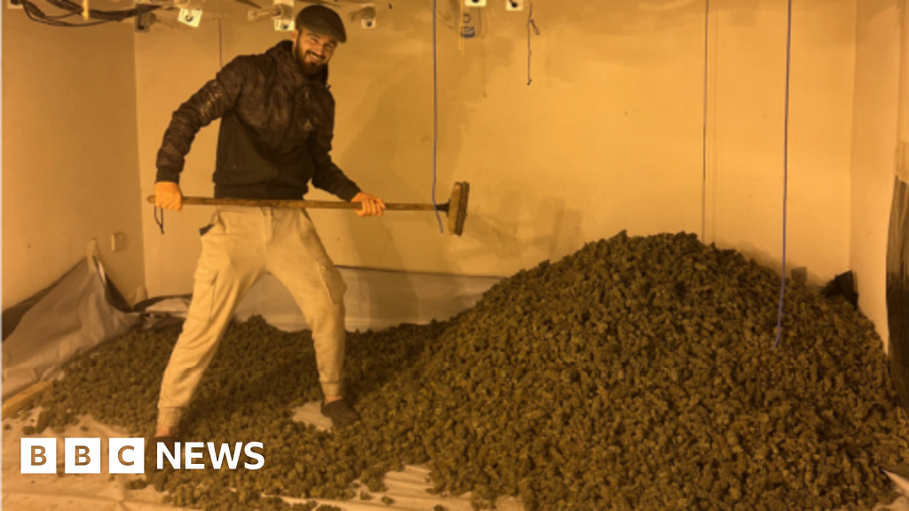 bbc.co.uk - Georgie Docker - Men who posed with stash at &pound;1m Oldham cannabis farm jailed