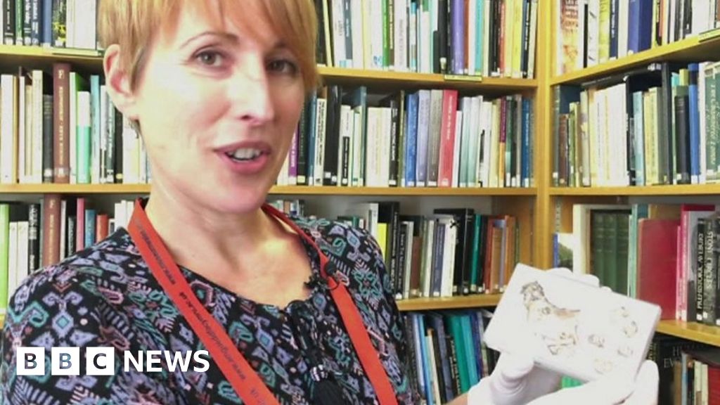 17th Century Treasure Found Down Rabbit Hole Bbc News