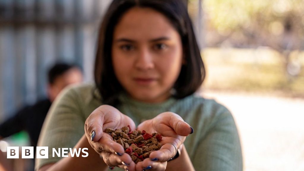 Turning used cooking oil into soap in a country where deep-fried foods rule