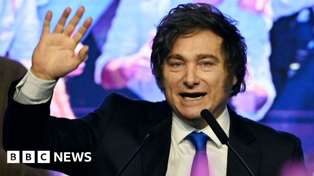 Argentina elections: Javier Milei and his