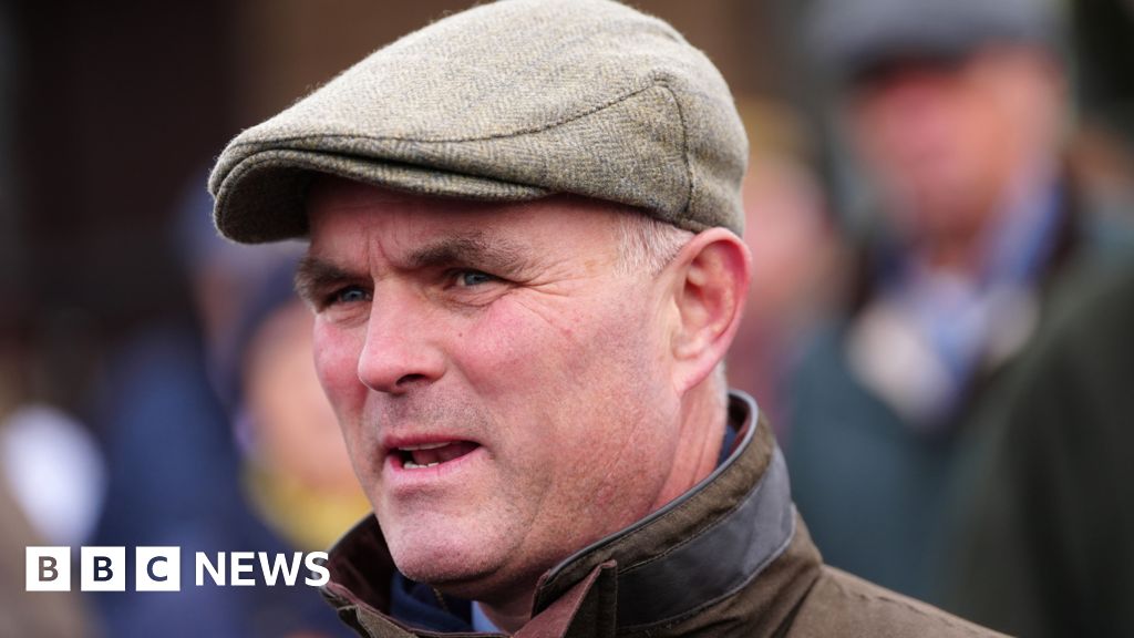 Horse racing trainer tried to help not hurt man - court