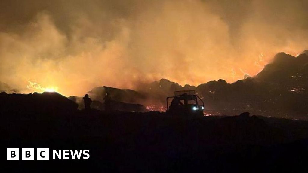 Fears thousands of animals died in 'biblical' wildfires