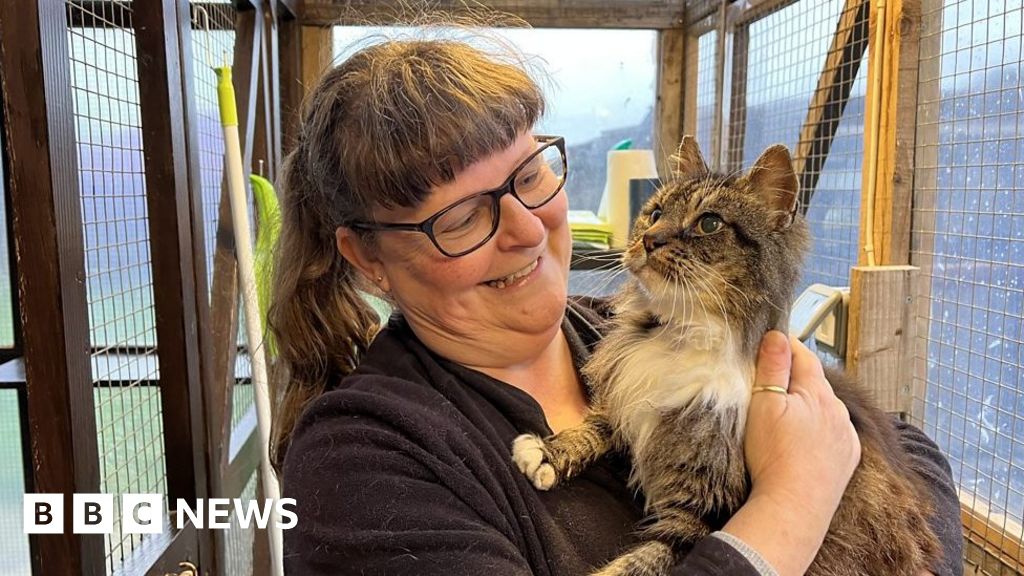 Cat rehoming charity KatKinz Rescue badly hit in storm