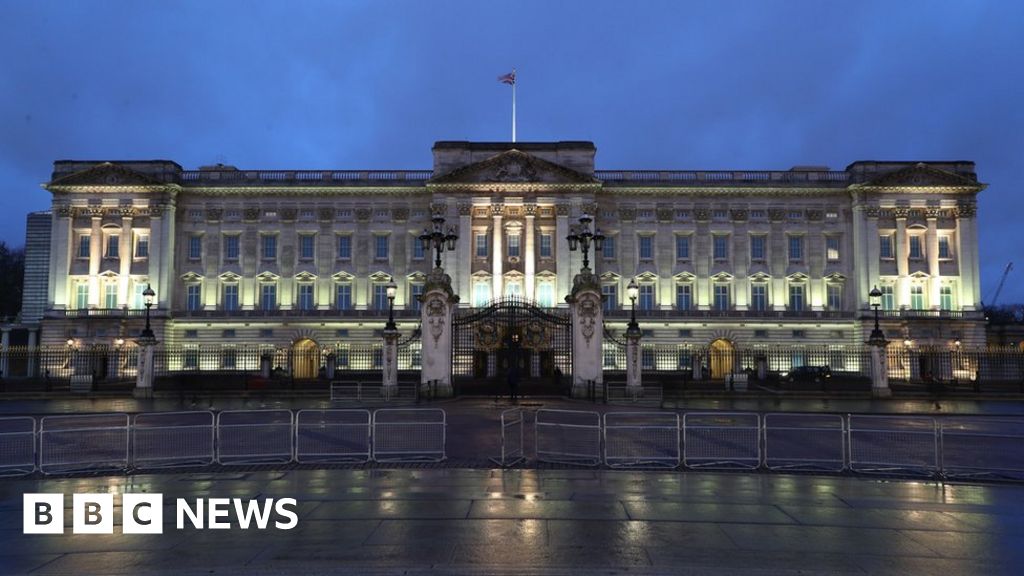 Buckingham Palace: Man admits trespassing twice at royal residence