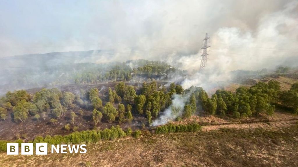 Cannich wildfire causes extensive damage to Corrimony nature reserve ...