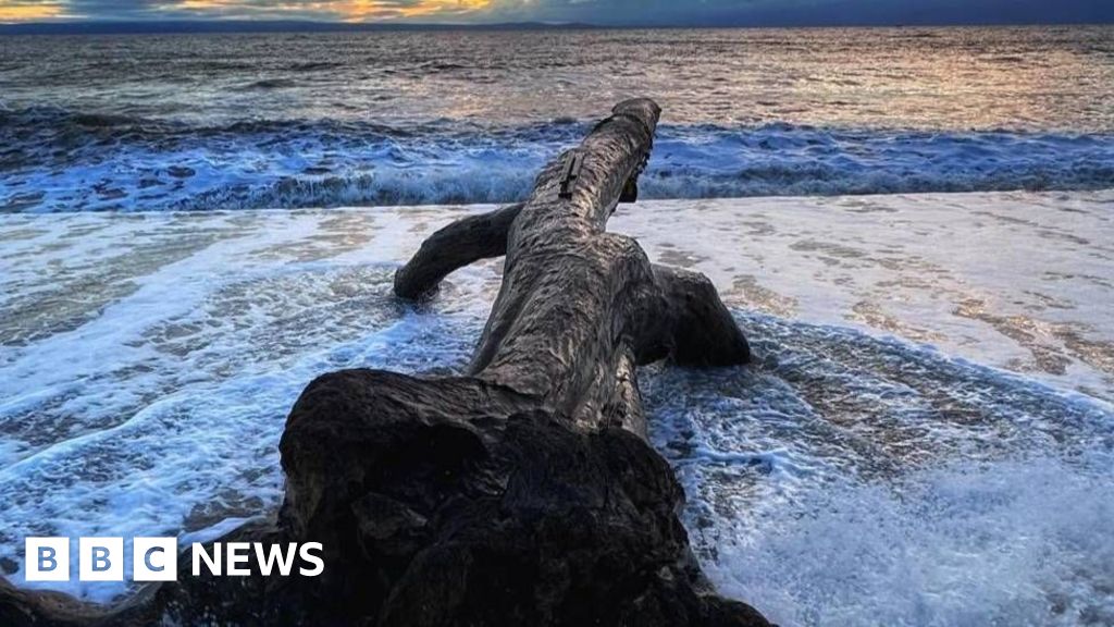 Footage shows Porthcawl's 'logness monster' being swept out to sea