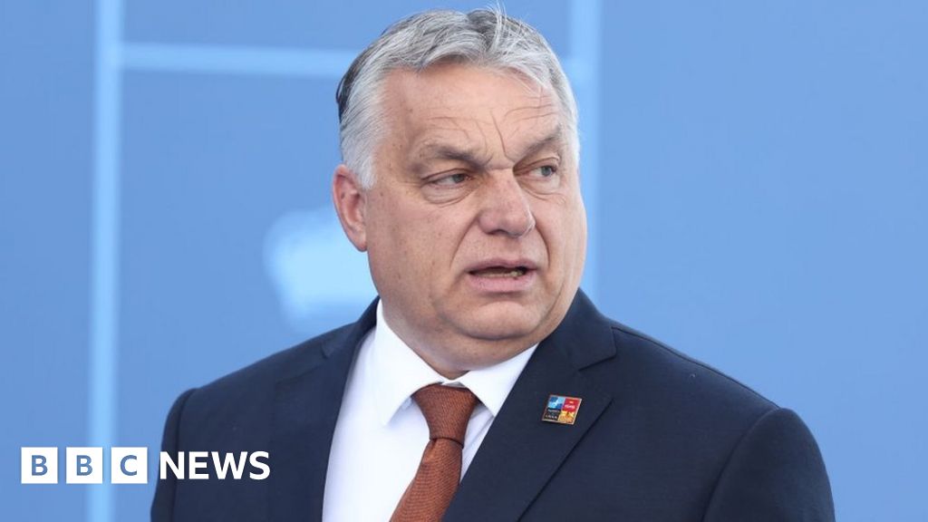 Viktor Orban: Hungary ‘autocracy’ verdict from EU correct, say activists