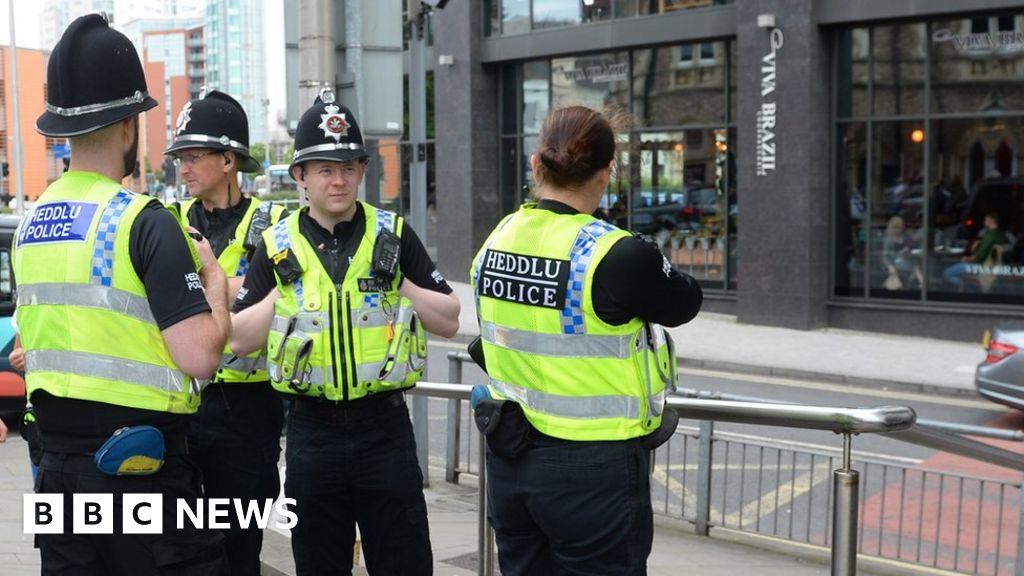 Newcastle men charged after Cardiff 'machete' incident