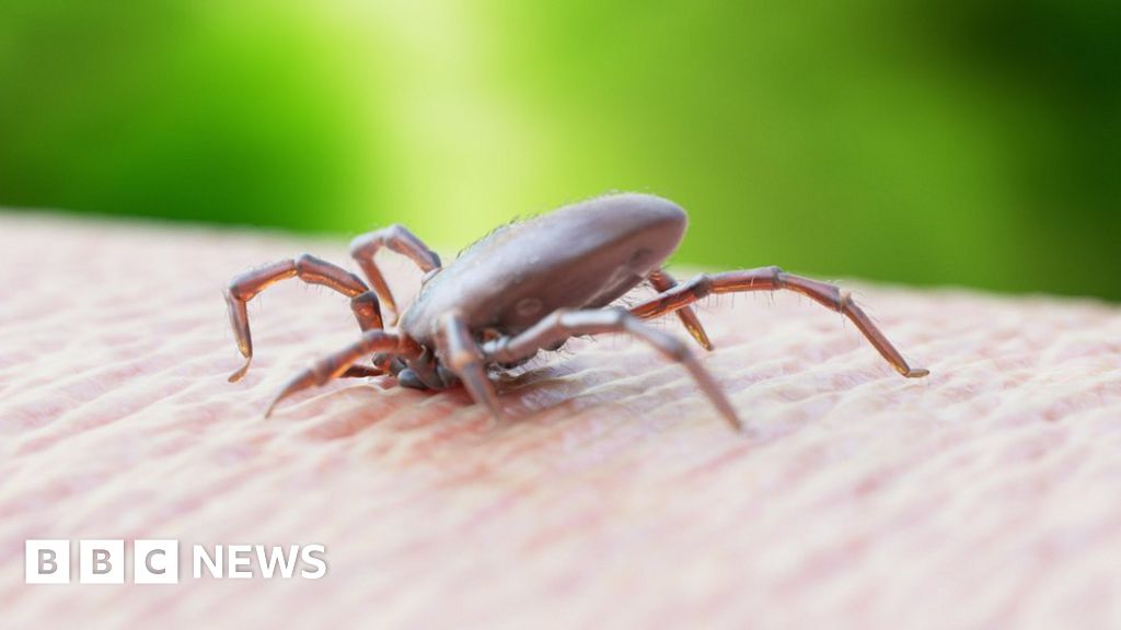 Rare tick disease found in England, health officials say