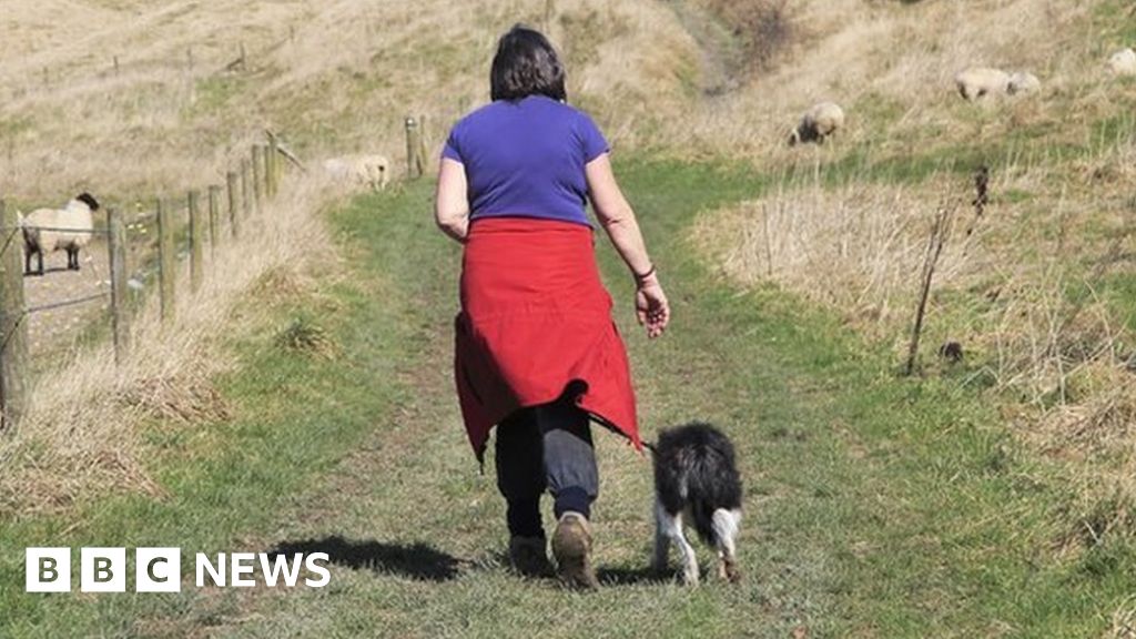 South Kilvington: Dog walking facility proposed for rural field 