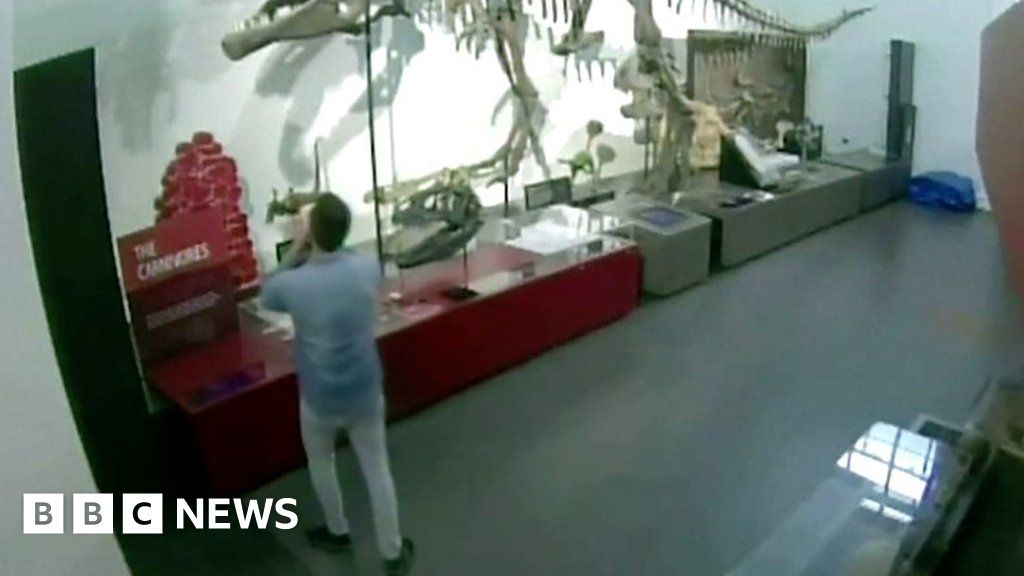 Night at the museum: Man breaks into dinosaur exhibit, taking selfies