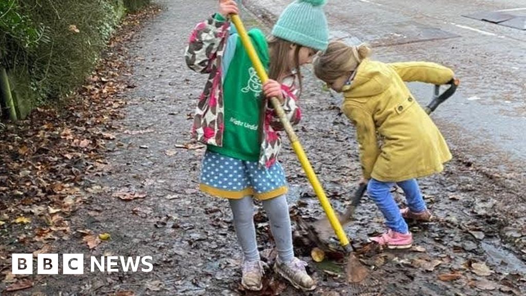 Should we offer to sweep leaves on our streets?