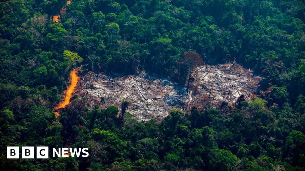 Brazil's : Deforestation rises ahead of dry season - BBC News