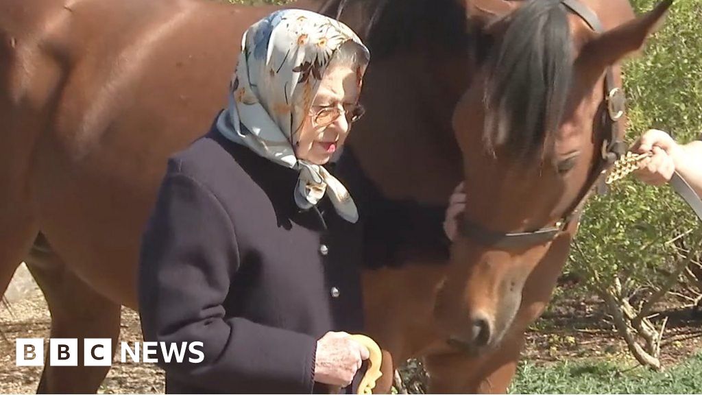 Unseen footage shows Queen's affection for horses