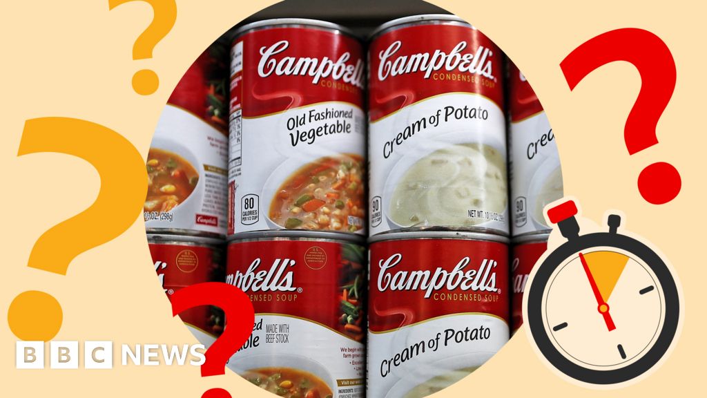 Timed Teaser Which soup was thrown at Van Gogh's Sunflowers?