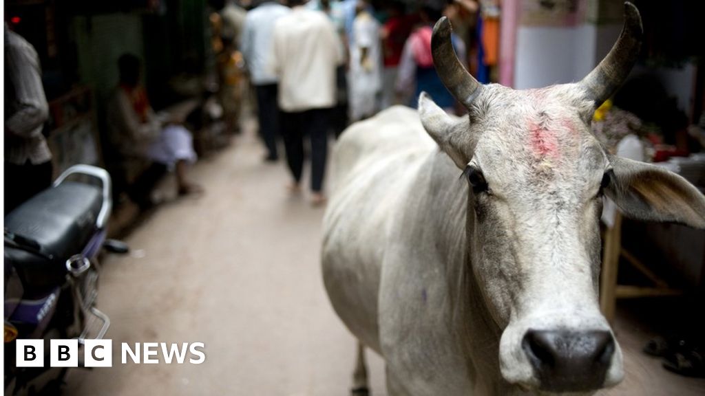 Uttar Pradesh: Why deadly cow attacks are an issue in Indian state election