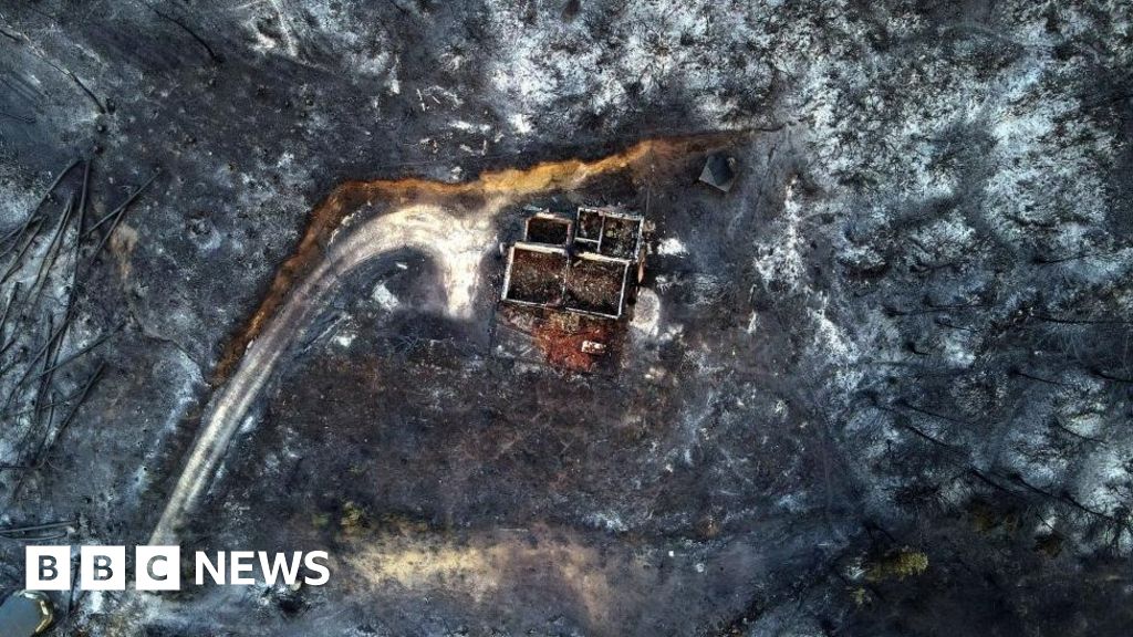Greece wildfires: Eighteen bodies found in Greek forest