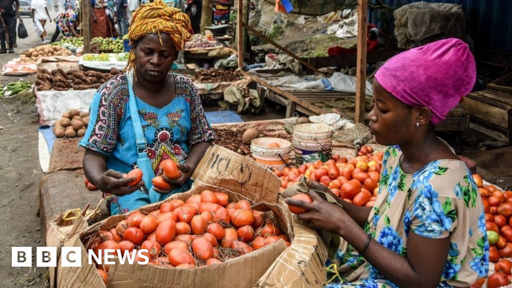 Fertiliser shortage hits African farmers battling food crisis