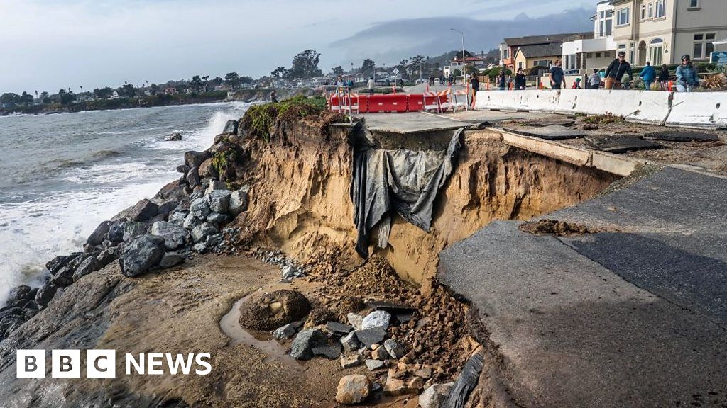 Uprooted trees and flooded street in California