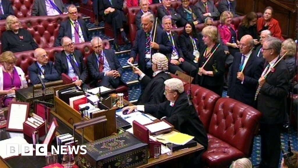 House of Lords: Does size matter? - BBC News