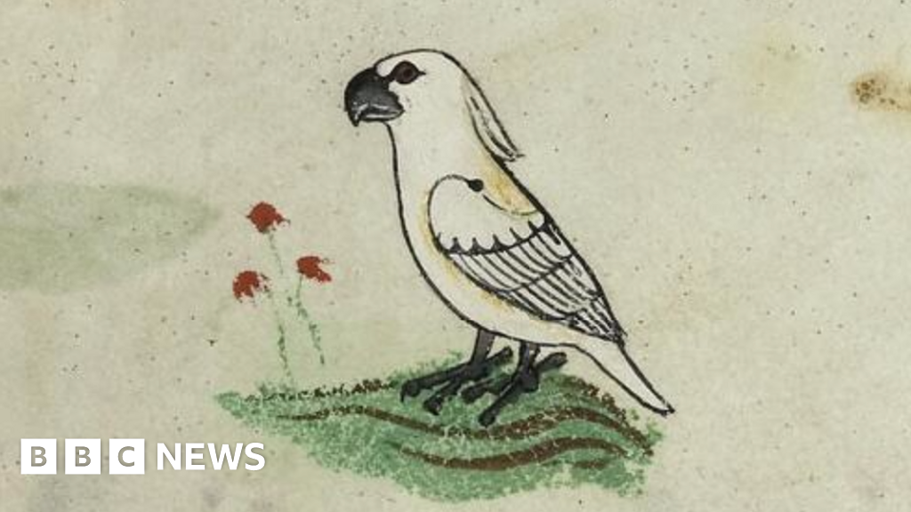 www.bbc.com