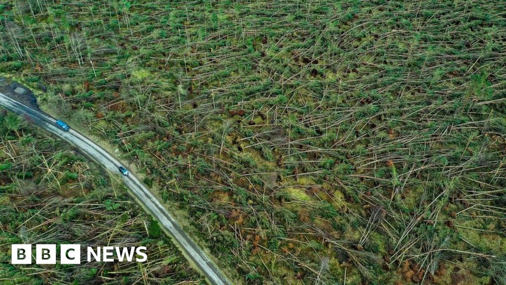 Power may be off for 'many days' for some after weekend storms