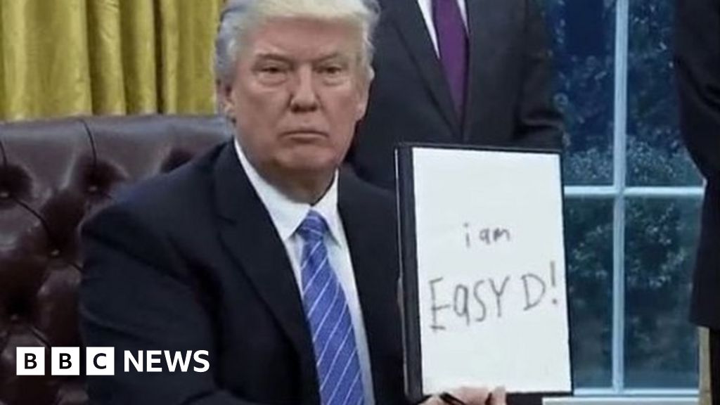 Trump used the term 'Easy D'. What did he mean? - BBC News