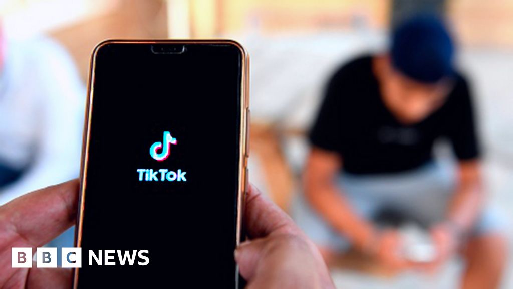 Is TikTok really a danger to the West? - BBC News