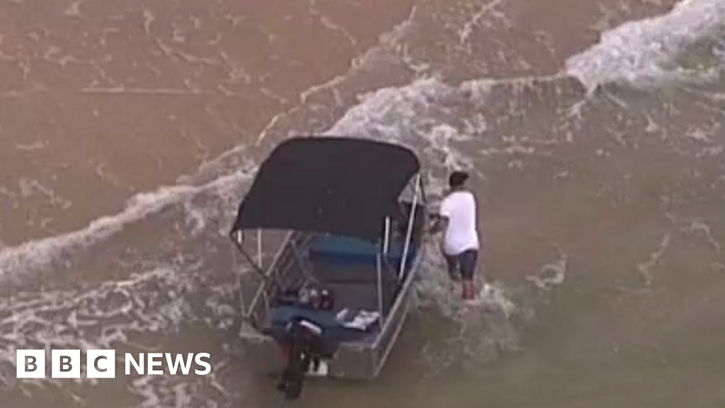 Australian man fined for rescuing whale from sea nets - BBC News