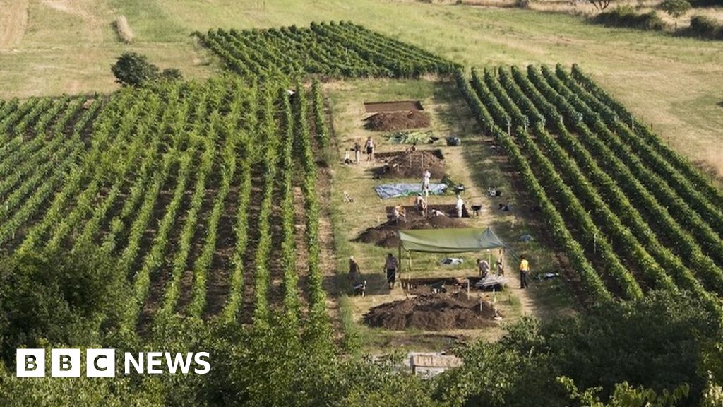 Traces Found Of 'world's Oldest Cheese' - BBC News