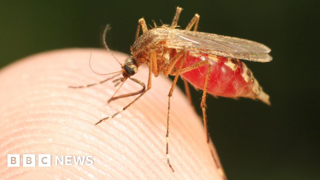 defeat-malaria-in-a-generation-here-s-how