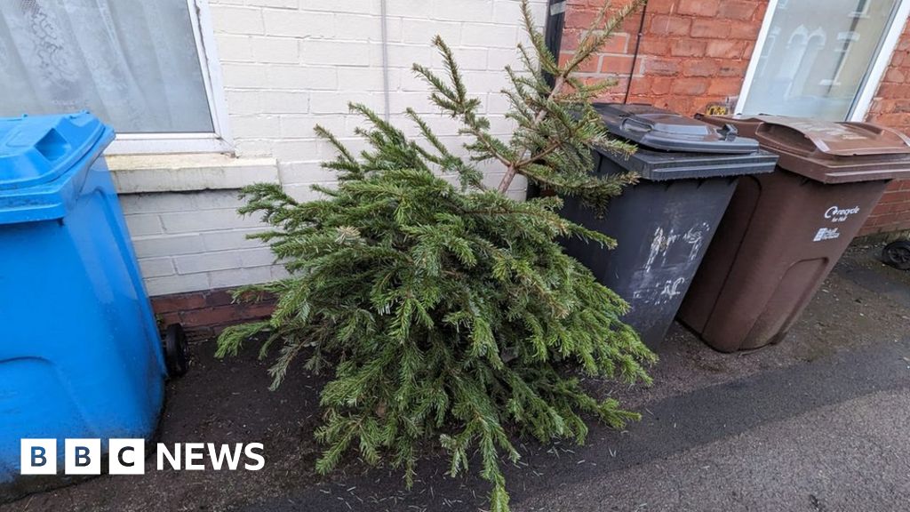 Ideas of how to dispose of your Christmas tree in Yorkshire