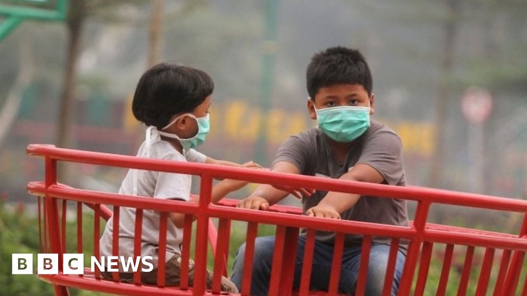 Indonesia haze: What it's like breathing in Asia's hazardous smoke