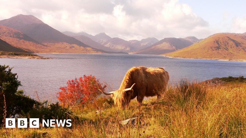 Your pictures of Scotland: 19 - 26 October - BBC News