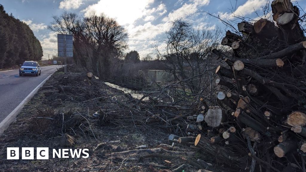Clearance work continues at Ampthill tree felling site 