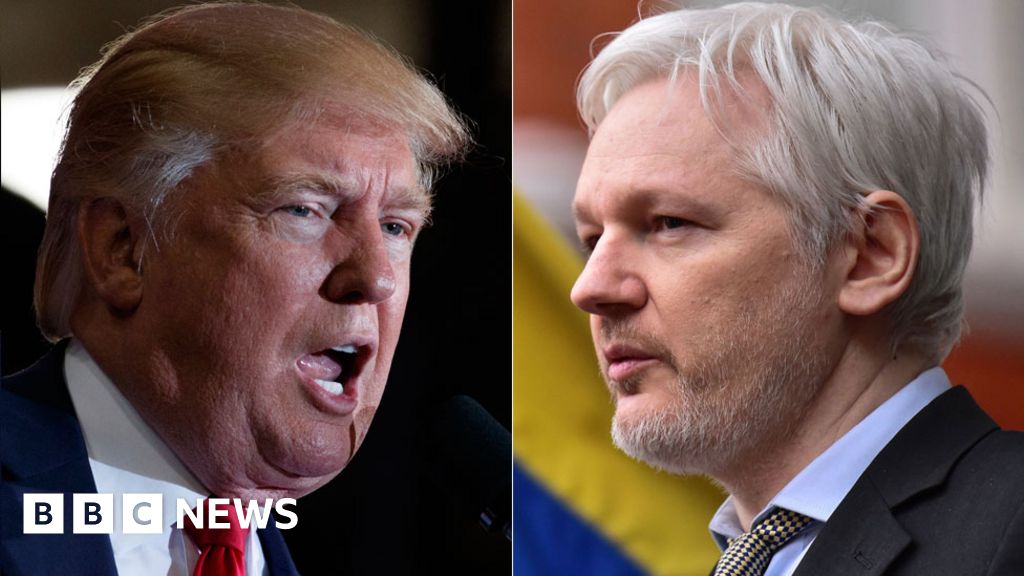 Donald Trump Backs Julian Assange Over Russia Hacking Claim Bbc News 