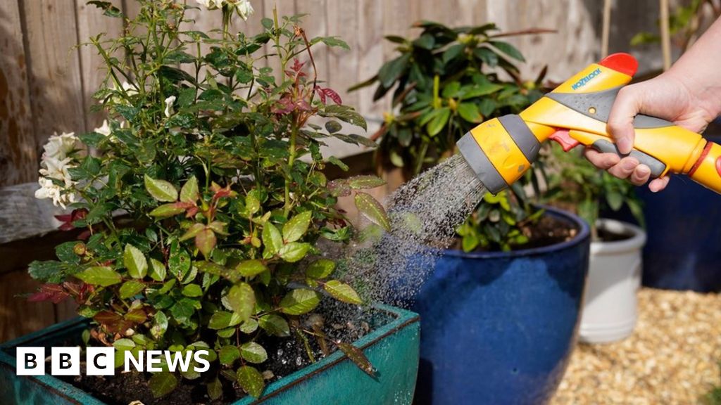 South West Water hosepipe ban Your questions answered