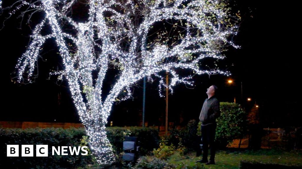 Man's Christmas tree with 21,000 lights inspires US visit BBC News