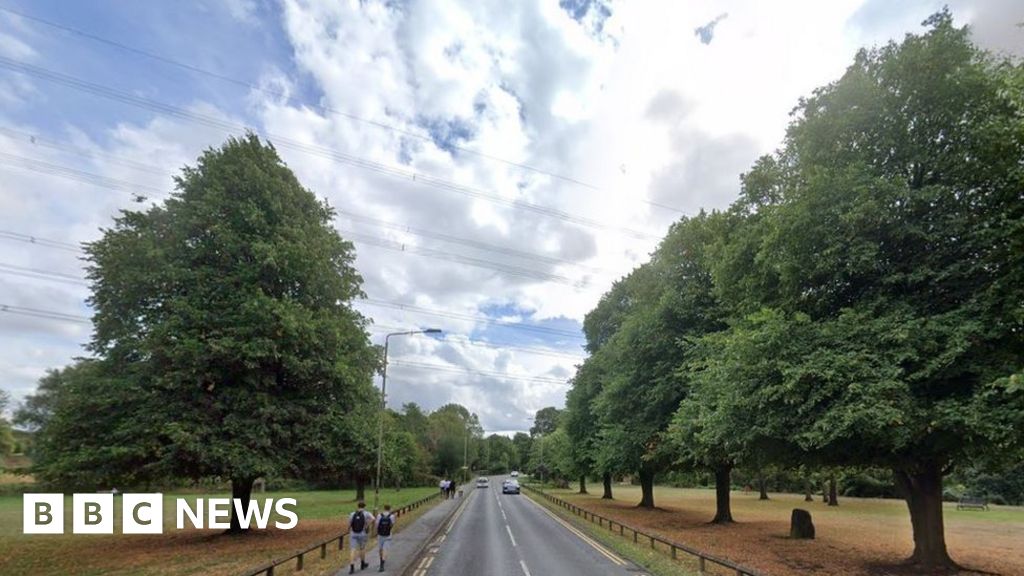 Anstey Driver flees after passenger dies in crash BBC News