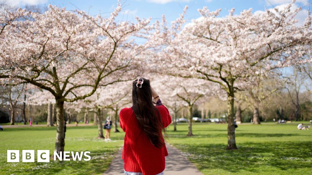 UK's spring was warmest on record, Met Office says