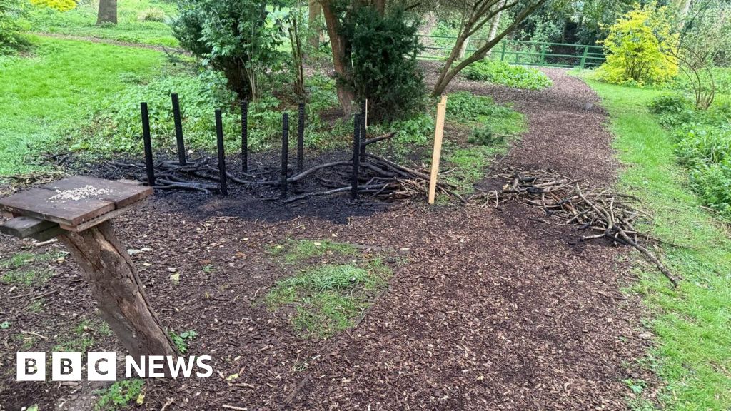 Warnings Issued After Multiple Deliberate Fires in City Parks