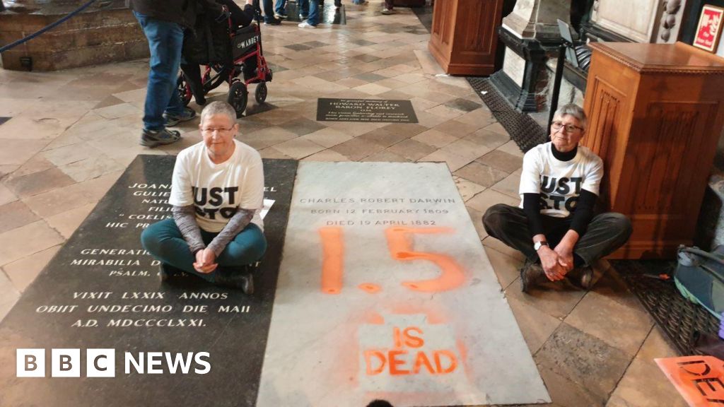 Westminster Abbey: JSO activists spray-paint Charles Darwin grave