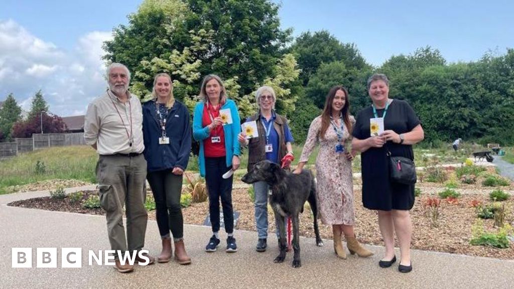 Volunteers create mental health wellbeing garden